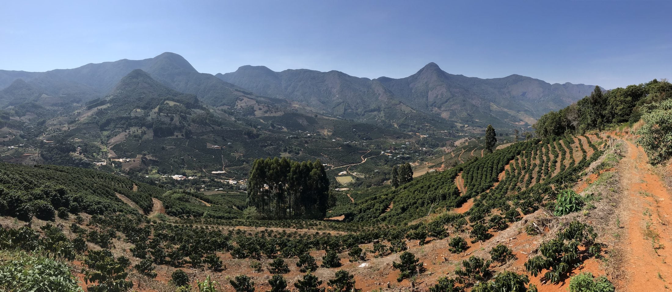 Fazenda de café entre montanhas, de onde saem os microlotes torrados pela Pandora Roasters